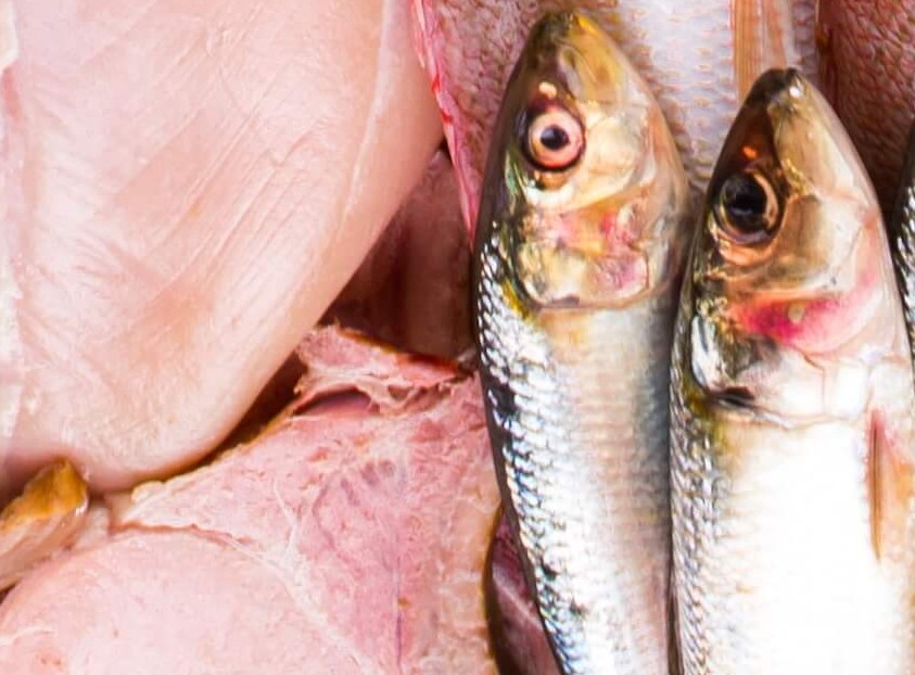 protéines, viande et poisson